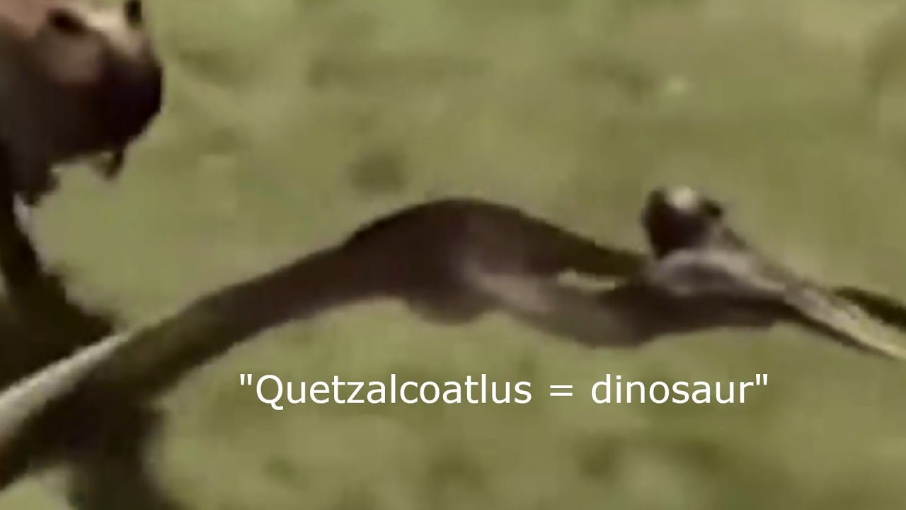 The Worst Paleontology Video On The Internet