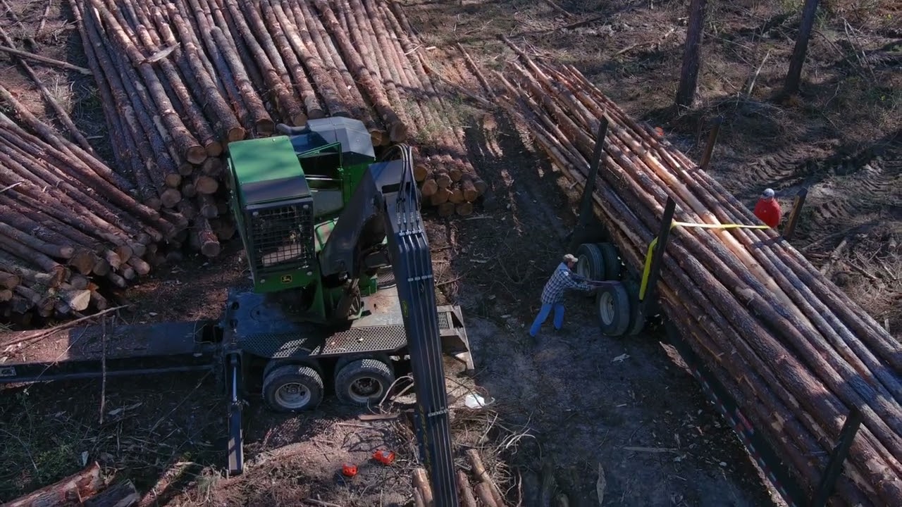 LOGGING REPLANTING PROCESS