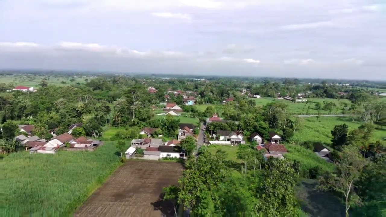 HIJAUNYA ALAM PEDESAAN DILIHAT DARI UDARA