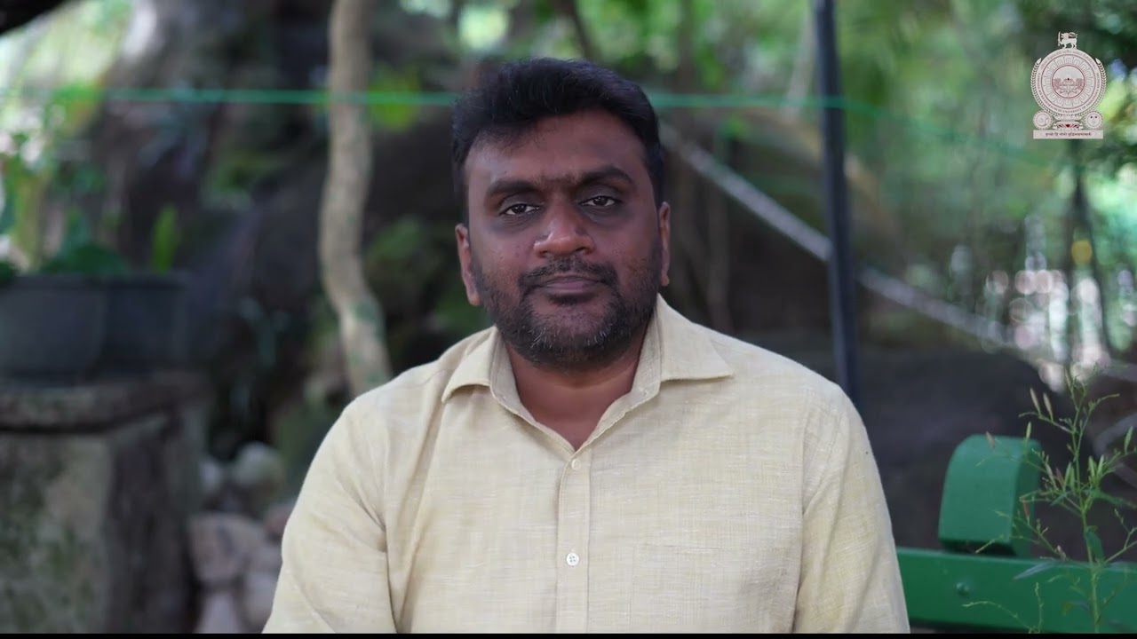 හීන් බිංකොහොඹ වගාව