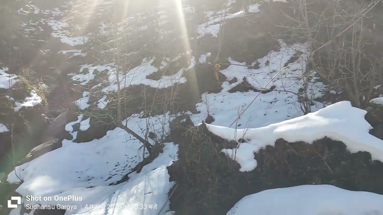 #उत्तराखंड # chopta #चोपता #तुंगनाथ chopta ki ओर 