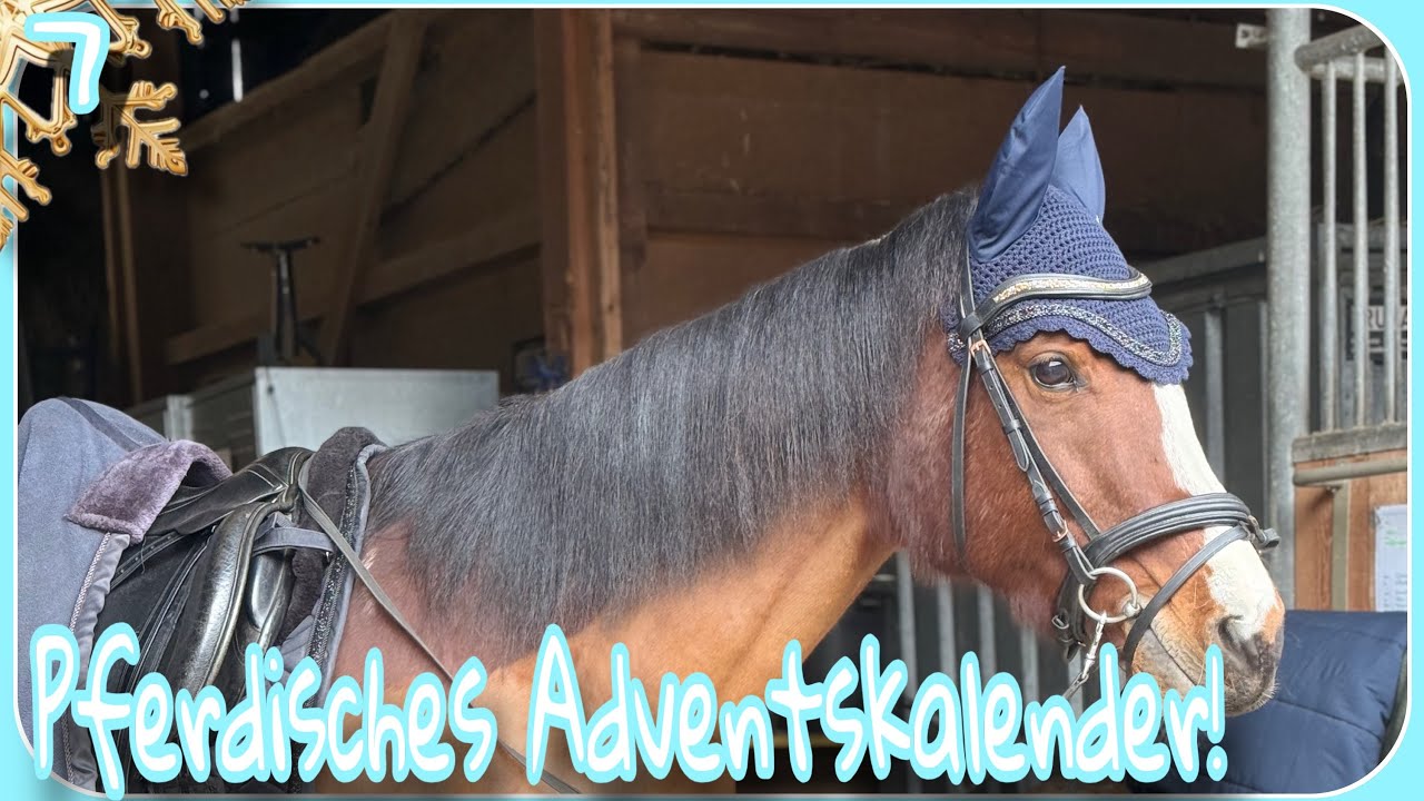 Pferdisches Adventskalender||horsebrand||#7||❄️Adventskalender 2025❄️||SSO||DE