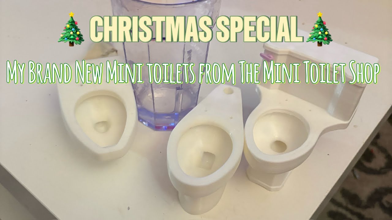 (CHRISTMAS SPECIAL!) My Brand New Mini Toilets from The Mini Toilet Shop (FOR @BTRPlumbing)