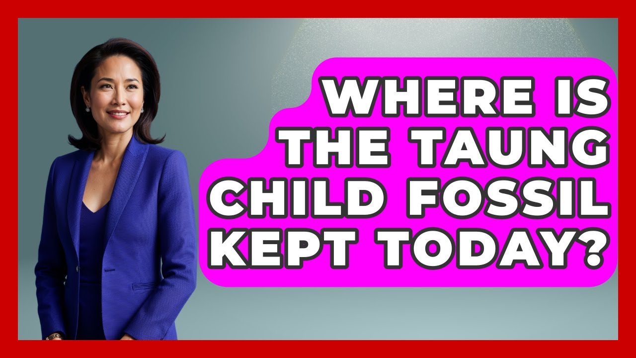 Where Is The Taung Child Fossil Kept Today? - Archaeology Quest