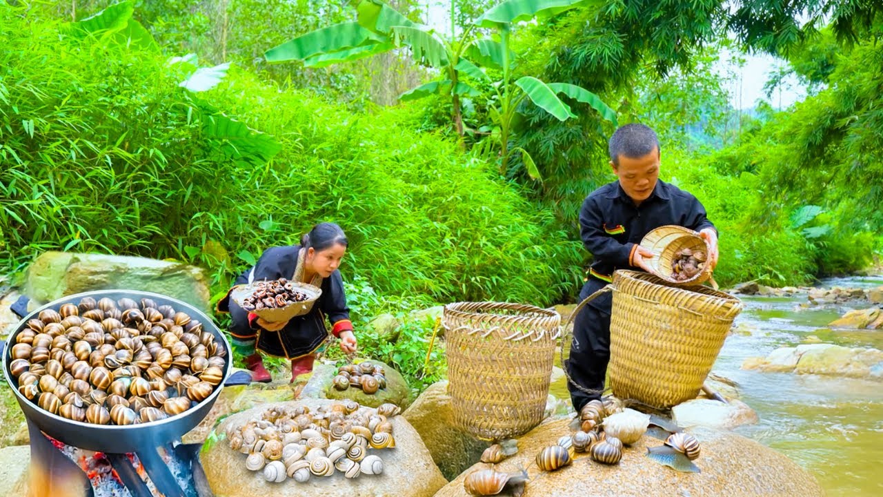 Dwarf Family Catch Snails for Delicious Meal and Rescue Turtle Laying Eggs in the Wild