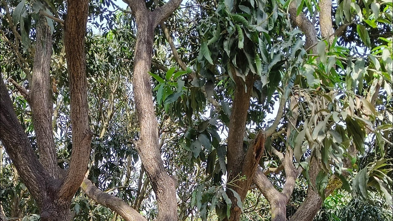 खुशनसीब है वो शख्स जिसके हाथ की लकीरों में तेरा नाम लिखा है.हम तो बस तुझे अपनी लकीरों में तलाशतेरहगए
