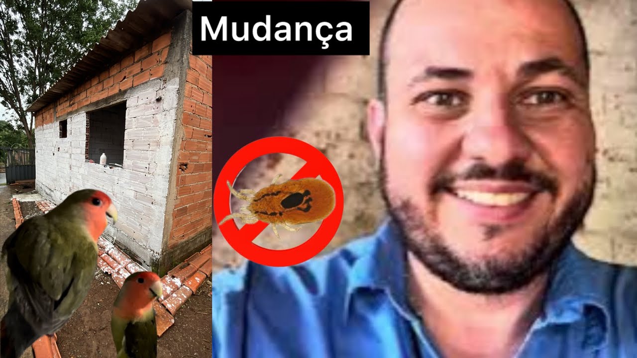 Mudança e novidades intensas l bebês nascendo l criatório se modificando 