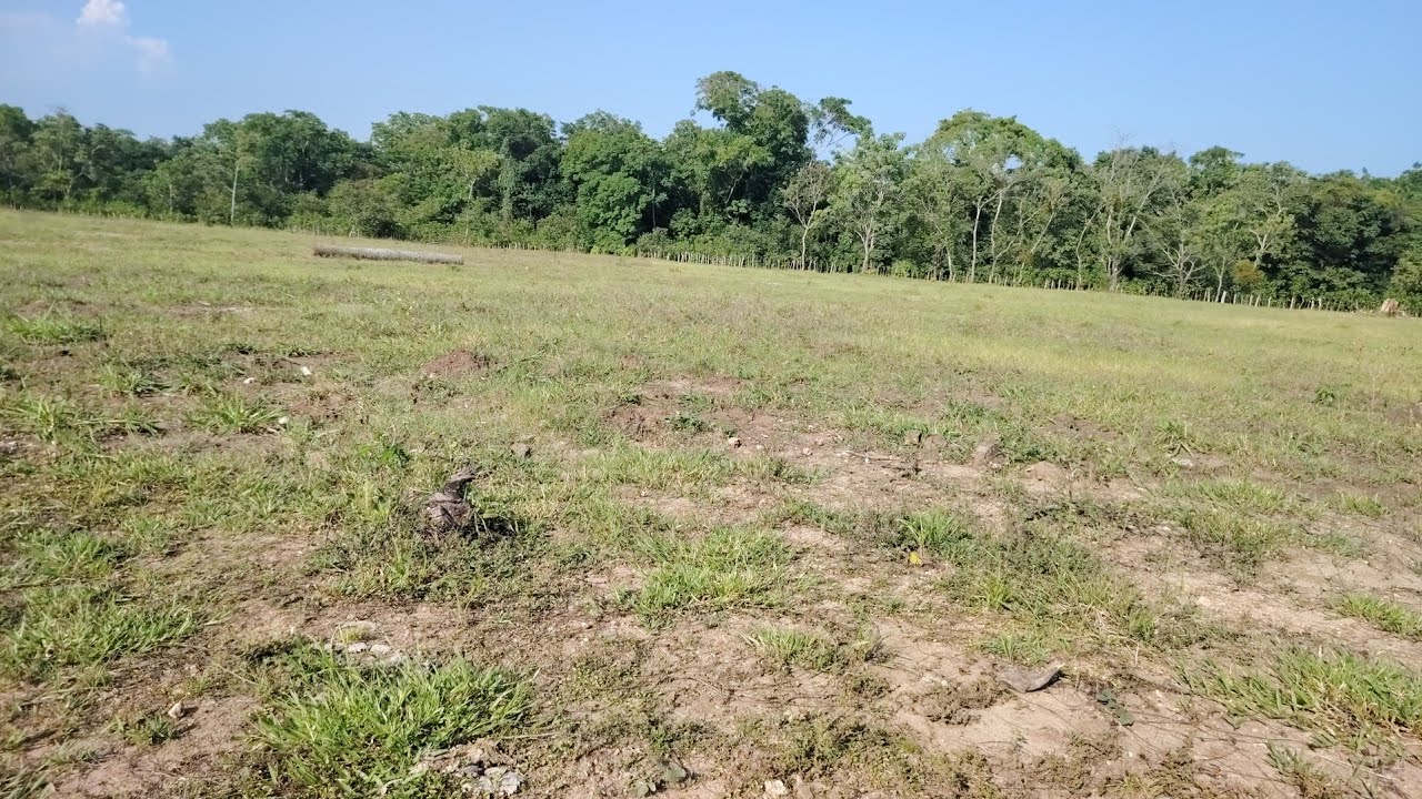 ✅ Se venden 2 manzanas con 5 tareas de terreno🚨 ubicadas cerca de nueva concepción Escuintla🚨🇬🇹