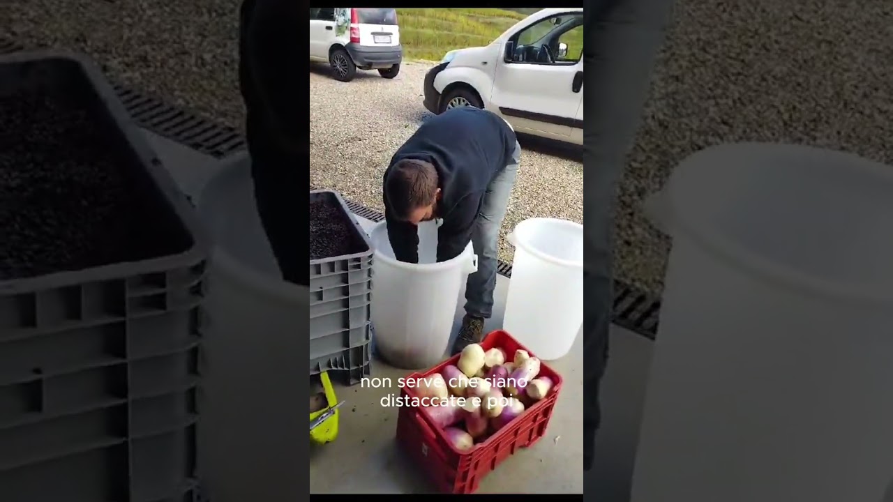 I nostri trucchi per fare la brovada