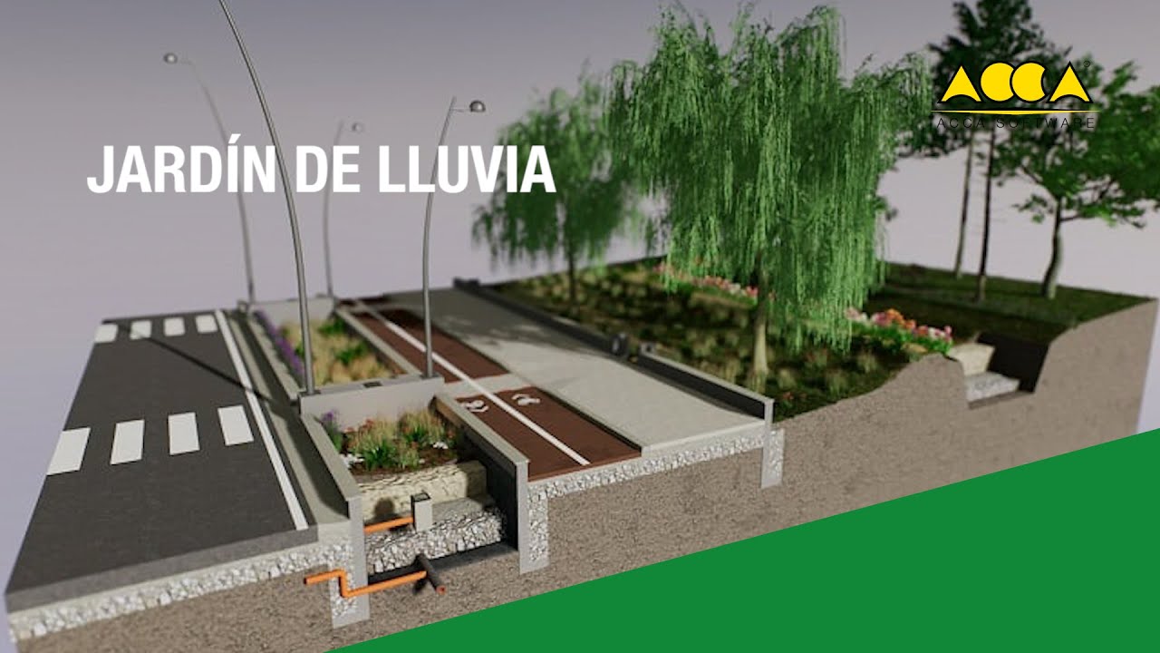 Diseño de un jardín de lluvia: la guía técnica