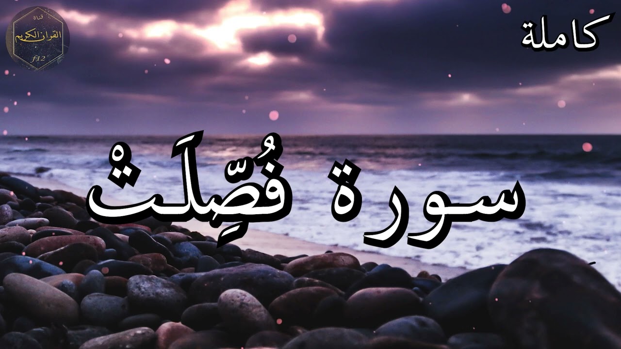 سورة فُصِّلَتْ كاملة المصحف المرتل من الحرم المكي الشريف للشيخ ياسر الدوسري 😌🎧 بأروع النبرات وأجملها