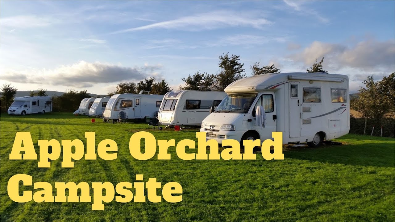 Apple Orchard Campsite Forest of Dean