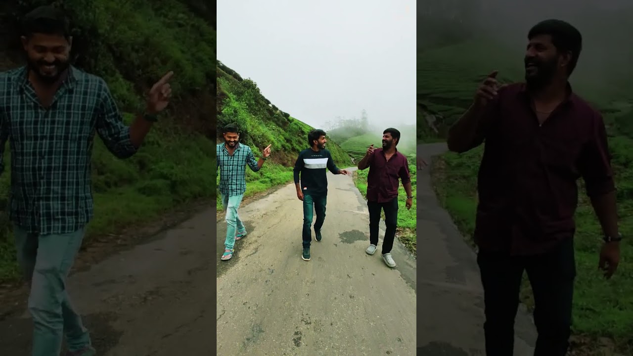 Lechmi Estate Munnar|  Munnar One day Tip |Top Five Places in Munnar  #nature #tigerreserve #travel