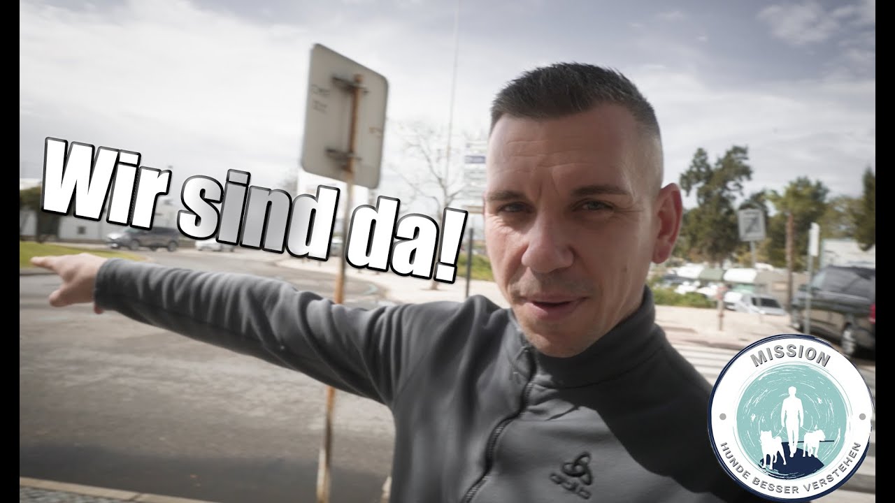 Hat der Tierschutz GRENZEN? Einblicke ins Ausland. VLOG