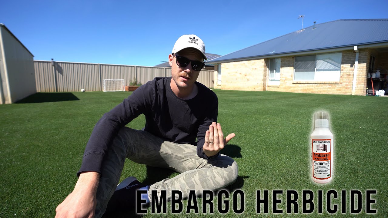 Embargo Pre-emergent Herbicide