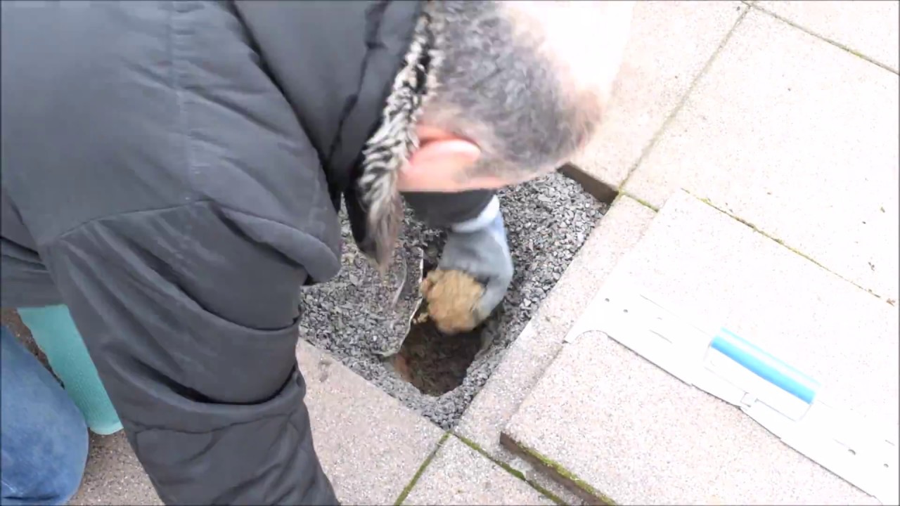 Geheime Verstecke im Garten, Wertsachen im Garten verstecken