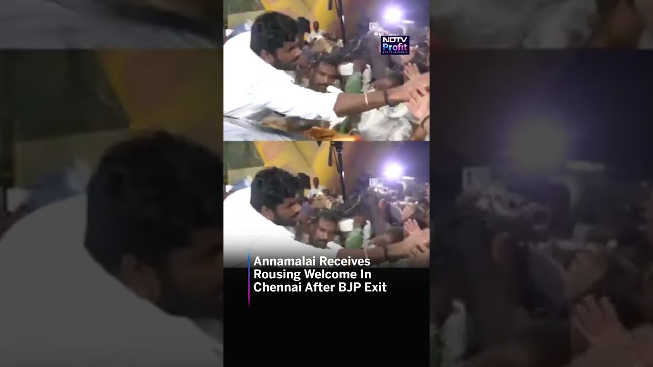 Watch: K Annamalai Receives A Grand Welcome In Chennai After Quitting BJP | #shorts