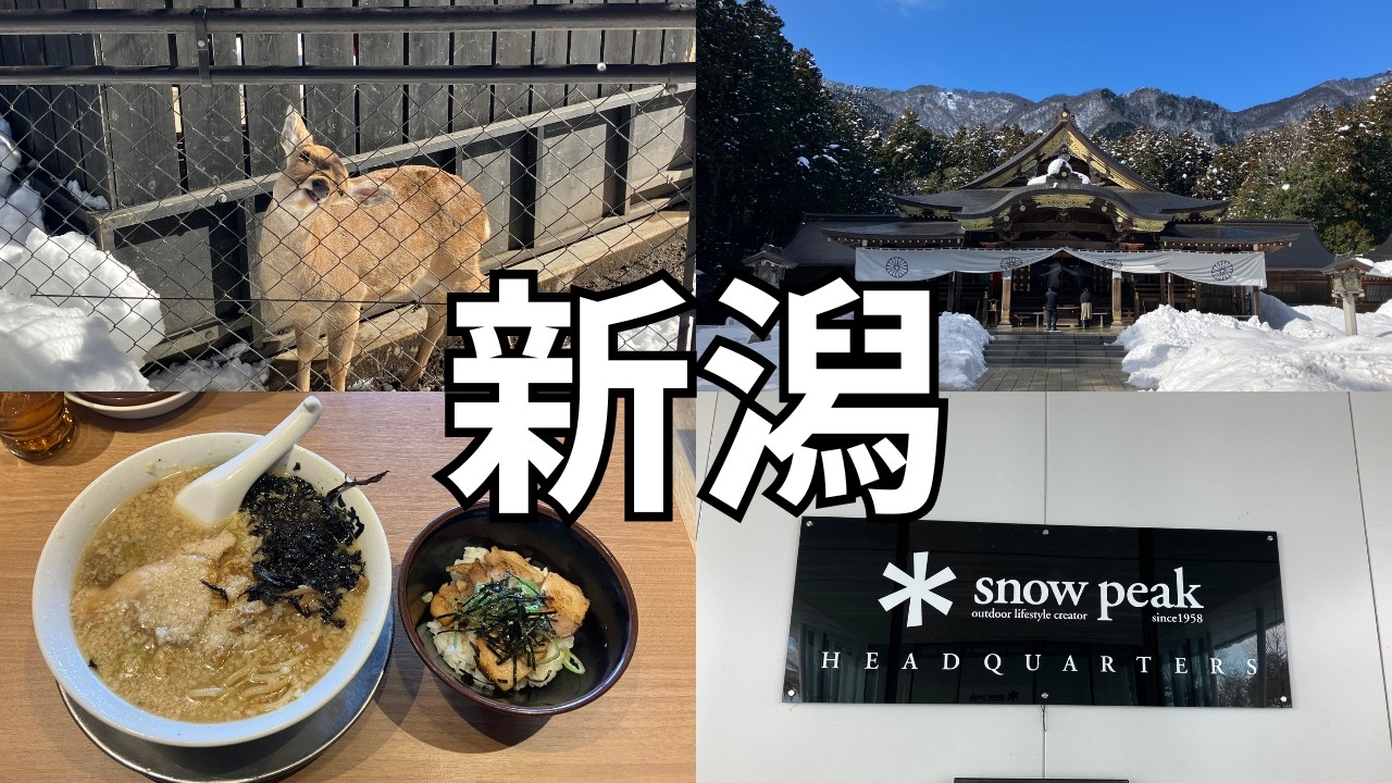 [新年一発大失敗vlog]　３０歳独身ニート男性による日本一周旅　新潟編