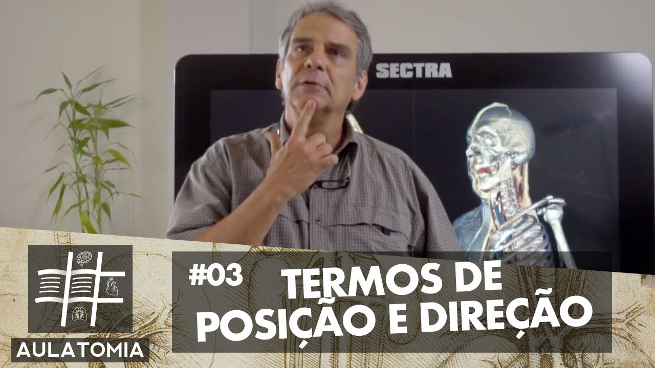 AULATOMIA #03 - Termos de Posição e Direção