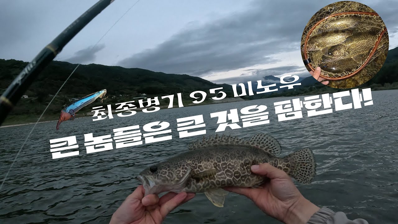 얼마 남지 않은 시즌, 섬진강에서 떼 쏘가리를 만나다!