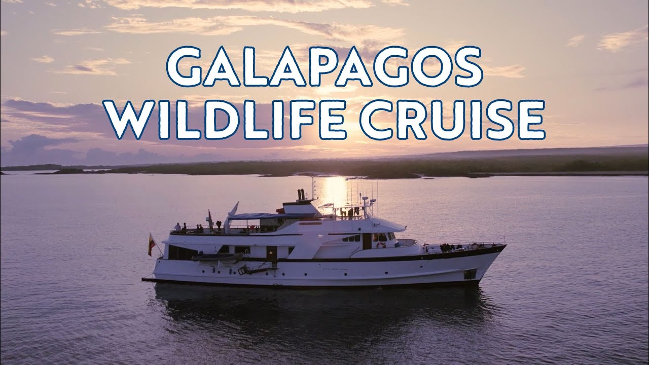 Immersive Galapagos Islands Wildlife Cruise Adventures - Small Ship Nature Tours on Beluga Yacht