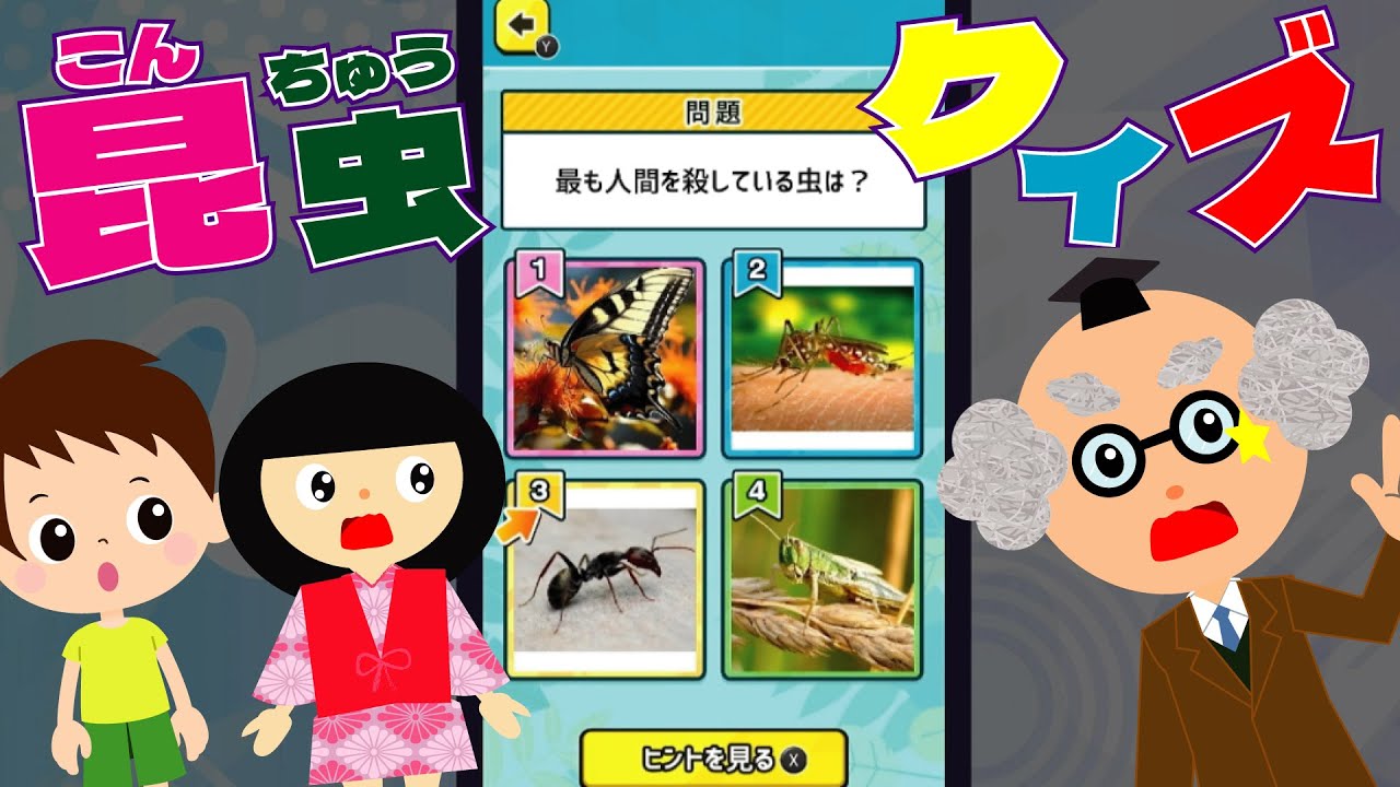【ものしりクイズ 世界の昆虫】たくさんの虫クイズで遊ぶよ！これで君も昆虫博士？！雑学・知育動画♪【子供向けアニメ】妖怪博士が解説するよ♪switch　おもしろクイズ　理科　ゲーム