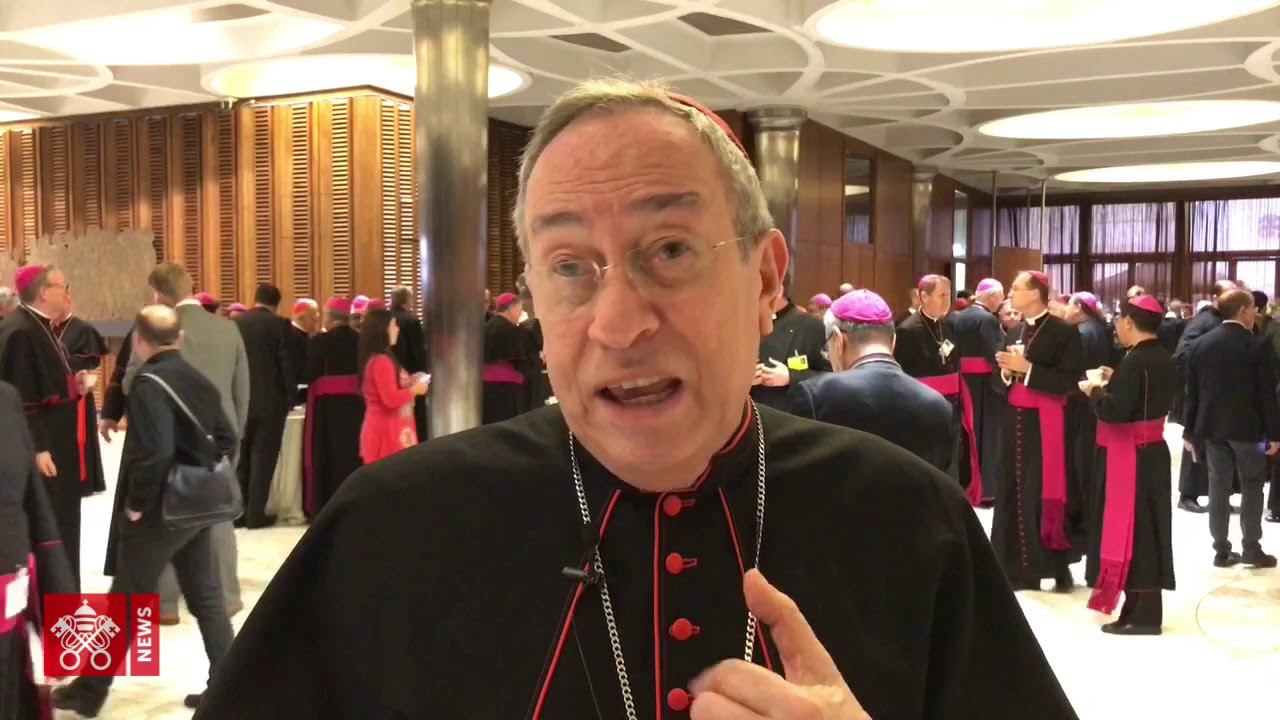 Sinodo giovani 2018, card. Maradiaga su sessualità giovanile