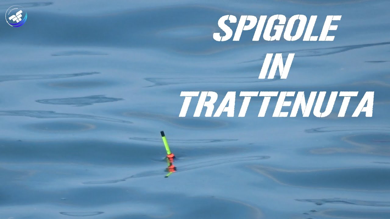 PESCA CON MARE PIATTO ~ Bolognese & Bigattino in Scogliera ~