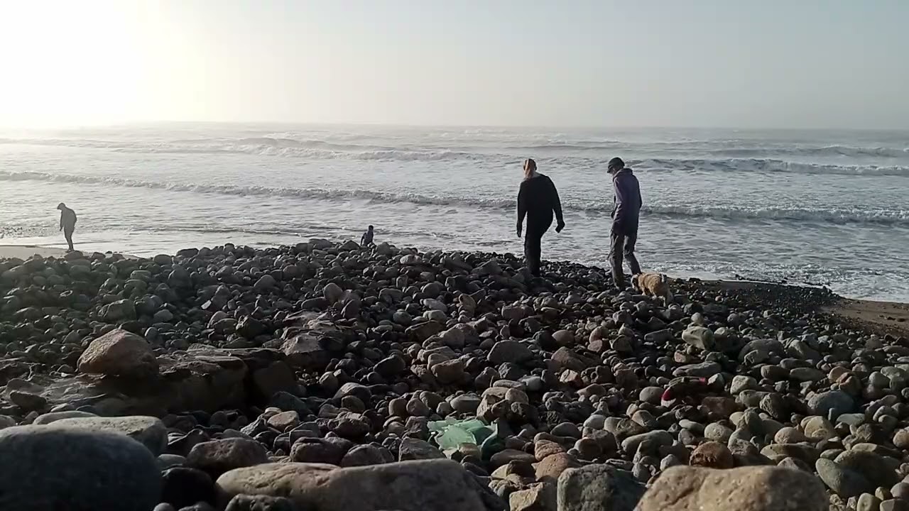 ١٩ فبراير ٢٠٢٦