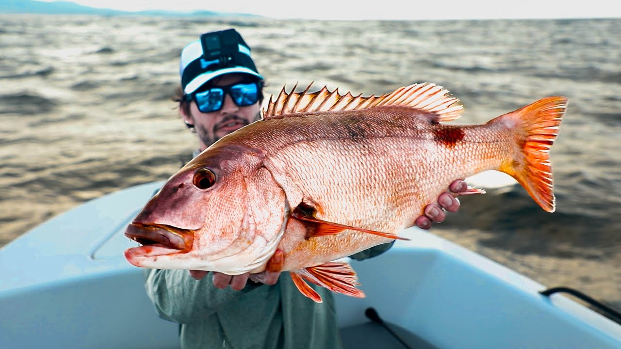 Epic Jigging Adventure: Catching Giant Red Steenbras!