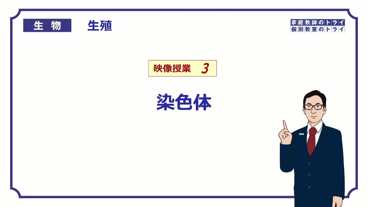 【高校生物】　生殖3　染色体（１７分）