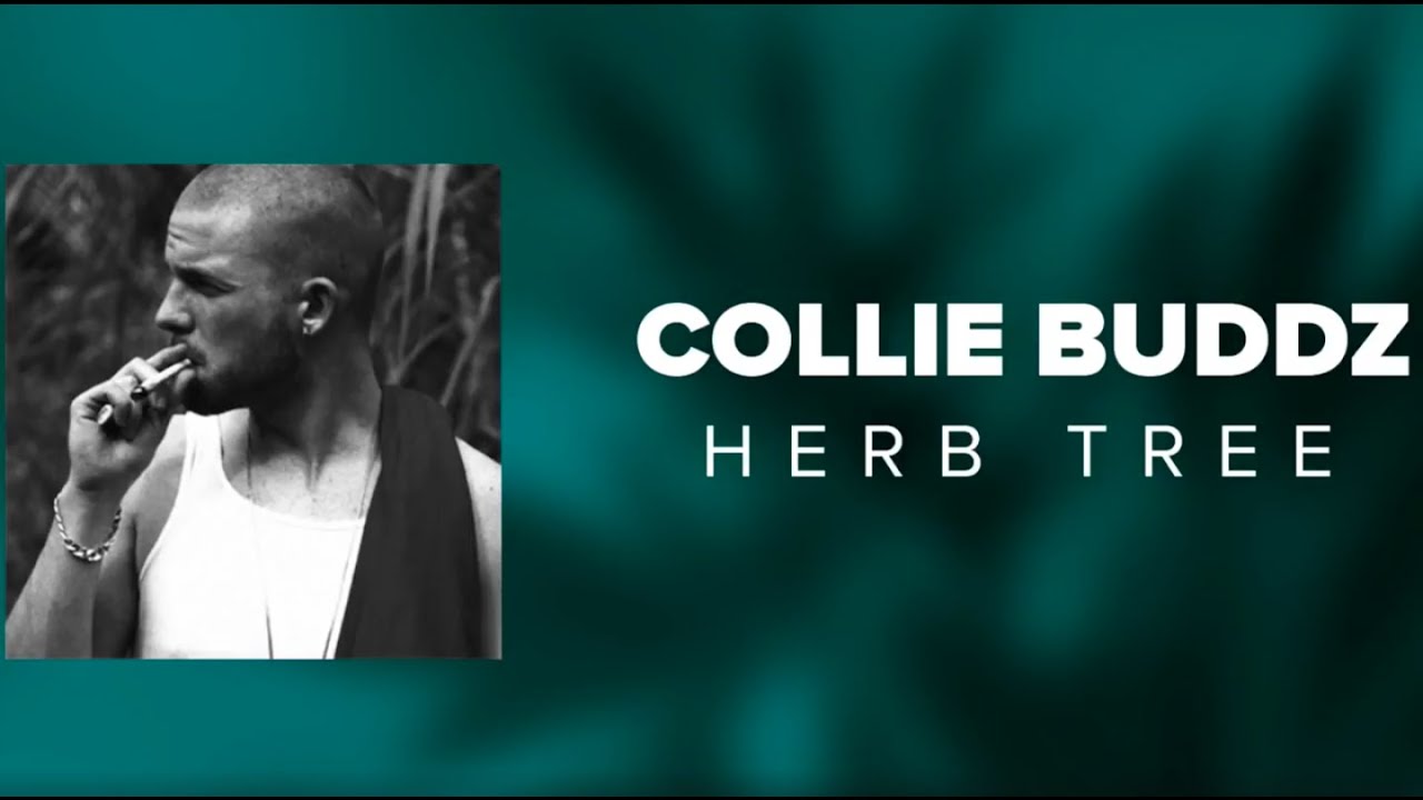 Collie Buddz - Herb Tree (Official Audio)