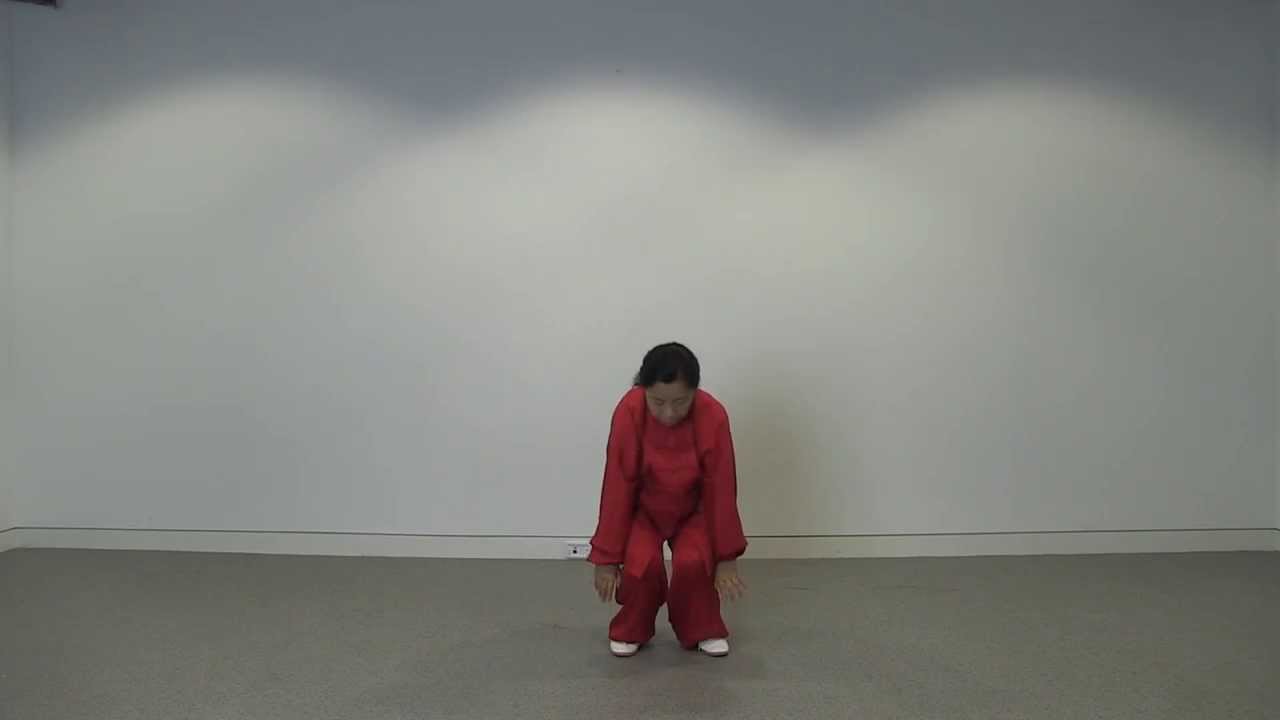 Frolic Of Five Animals - Guifang Liu Demonstration