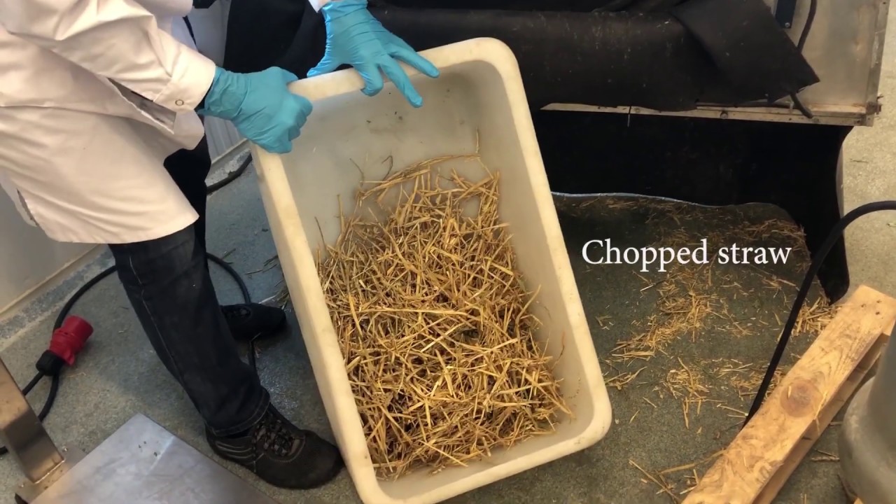 Sample preparation and milling of feed samples before feed analysis