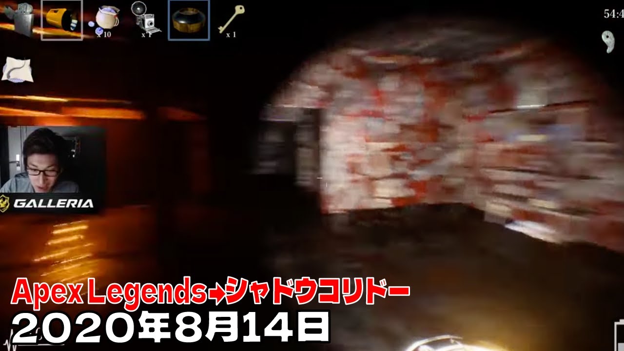 【2020年8月14日】 Apex Legends→シャドウコリドー/[DTN]とりま