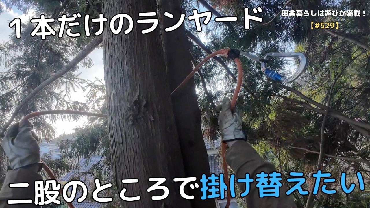 [#529] １本だけのランヤード　二股のところで掛け替えたい