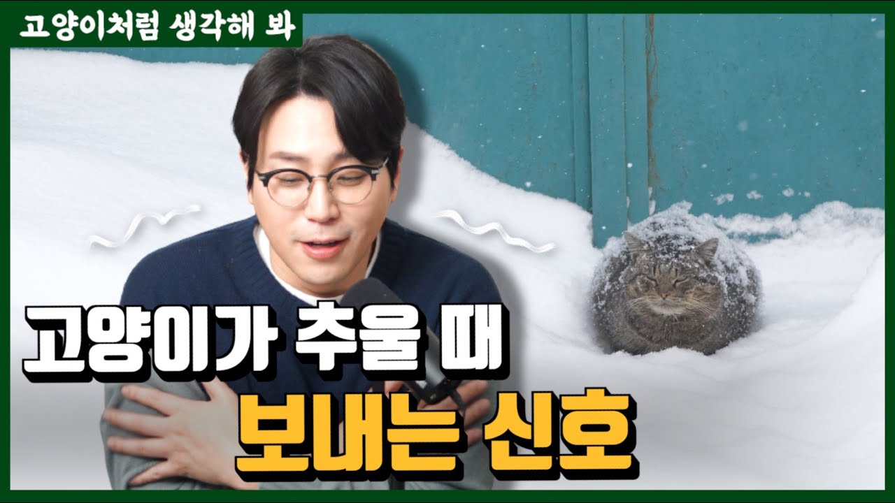 고양이는 추위를 얼마나 탈까 ? feat.냥신은 겨울 싫어함