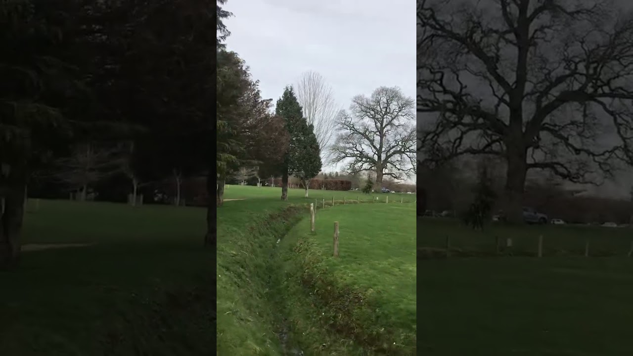 Wildlife adventure for 6 minutes