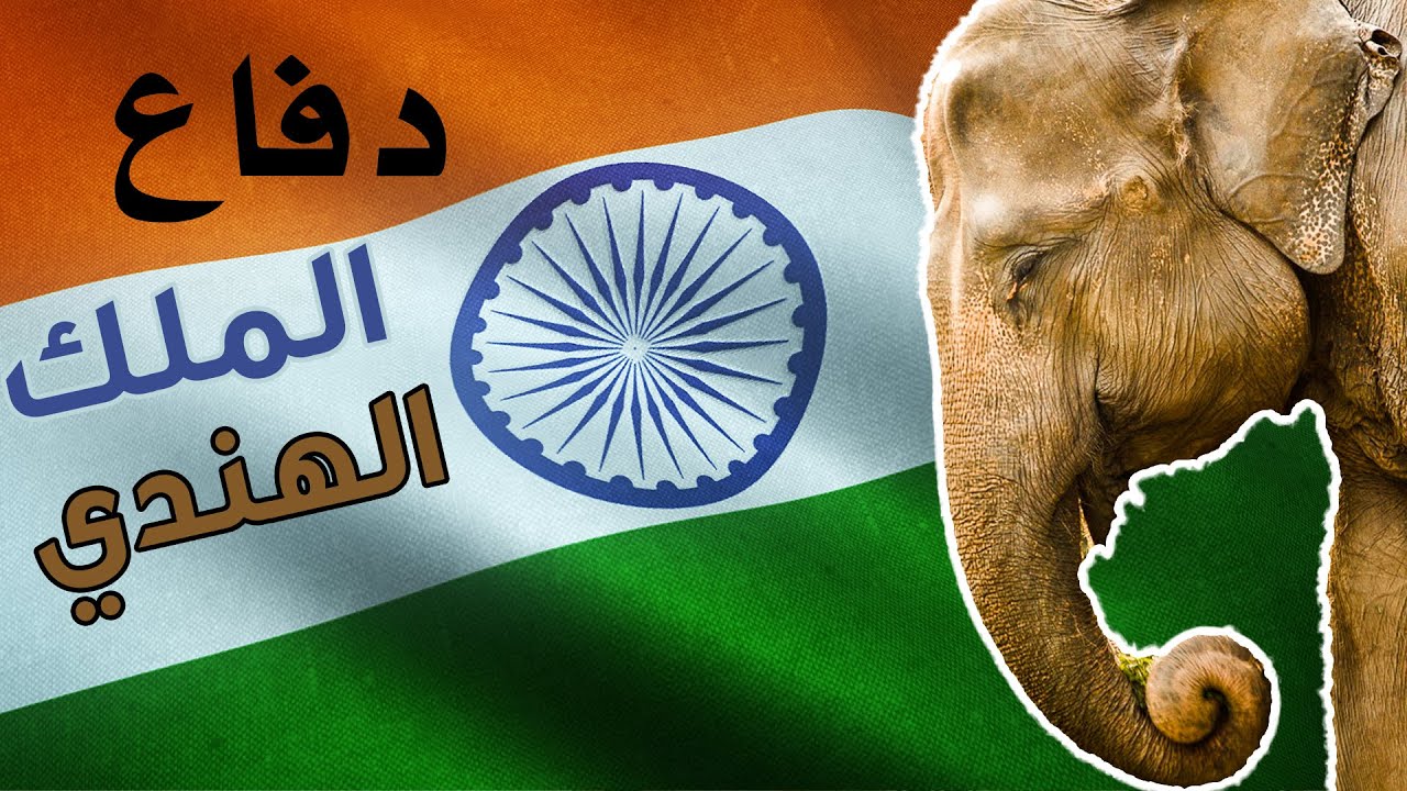 اقوى شرح الدفاع الهندي للملك ضد هجوم البيادق الاربعة