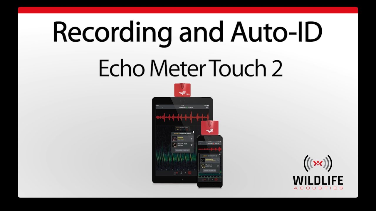 Echo Meter Touch 2 #4: Recording and Auto-ID | Record Bat Sounds