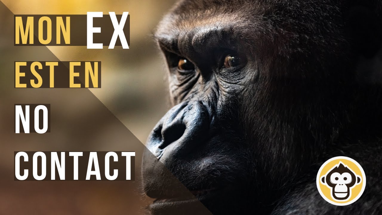 Et si mon EX était en No Contact / Silence Radio ?