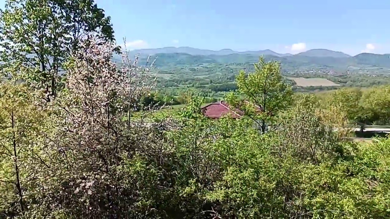 3‑Acre Property for Sale &ndash; Top Location by Sopot Lake