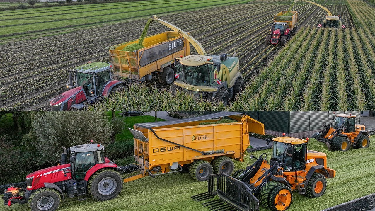 Loonbedrijf Beute Lutjegast | 2x Krone Big X | Mais hakselen | 2x JCB fast levelling | Maisernte '24