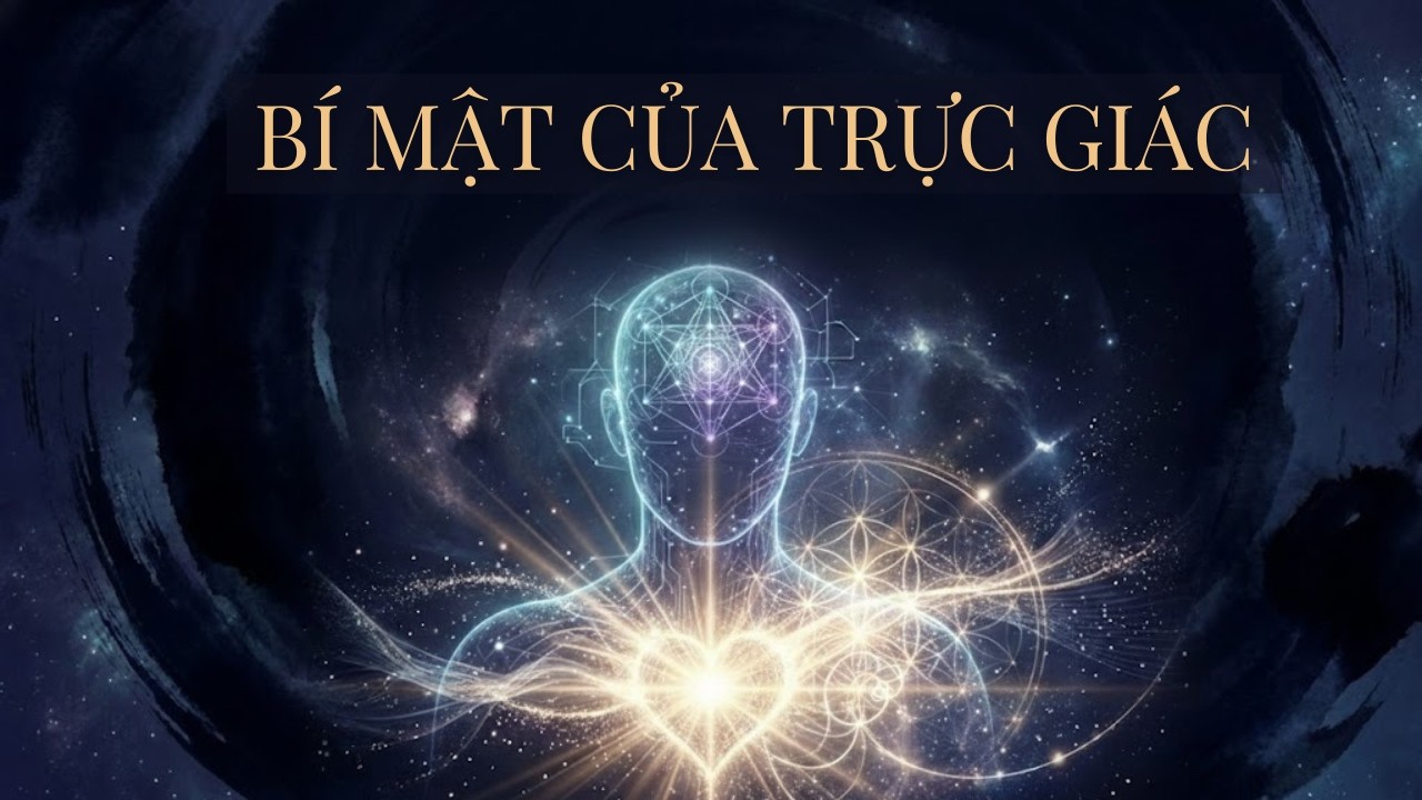 Những lần bạn bỏ qua 