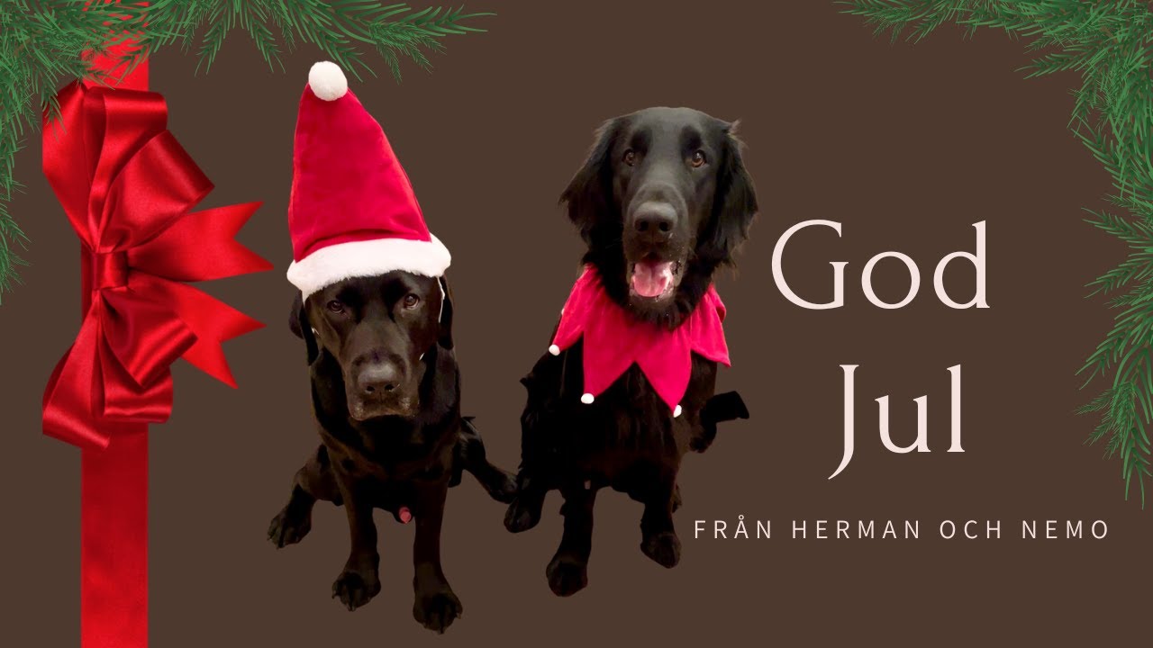 En veckovlogg inför jul!