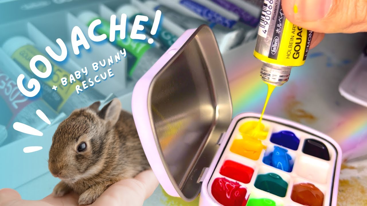 MY INTRODUCTION TO GOUACHE | Materials, Sketchbook Painting, and Baby Bunny Rescue