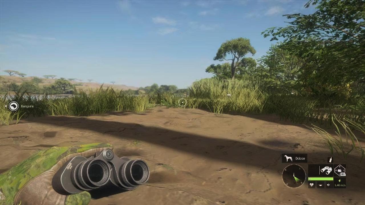 Leão difícil  theHunter: Call of the Wild