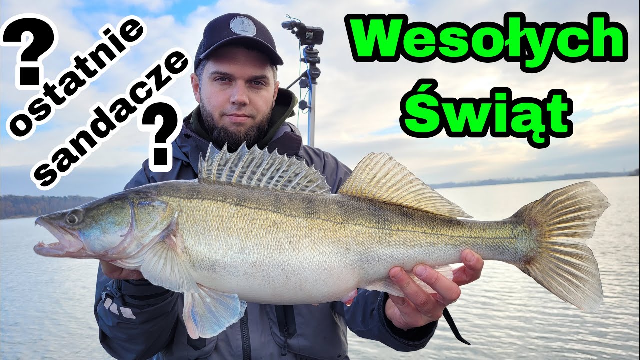 Wesołych Świąt | ostatnie sandacze? #VerticalJigging