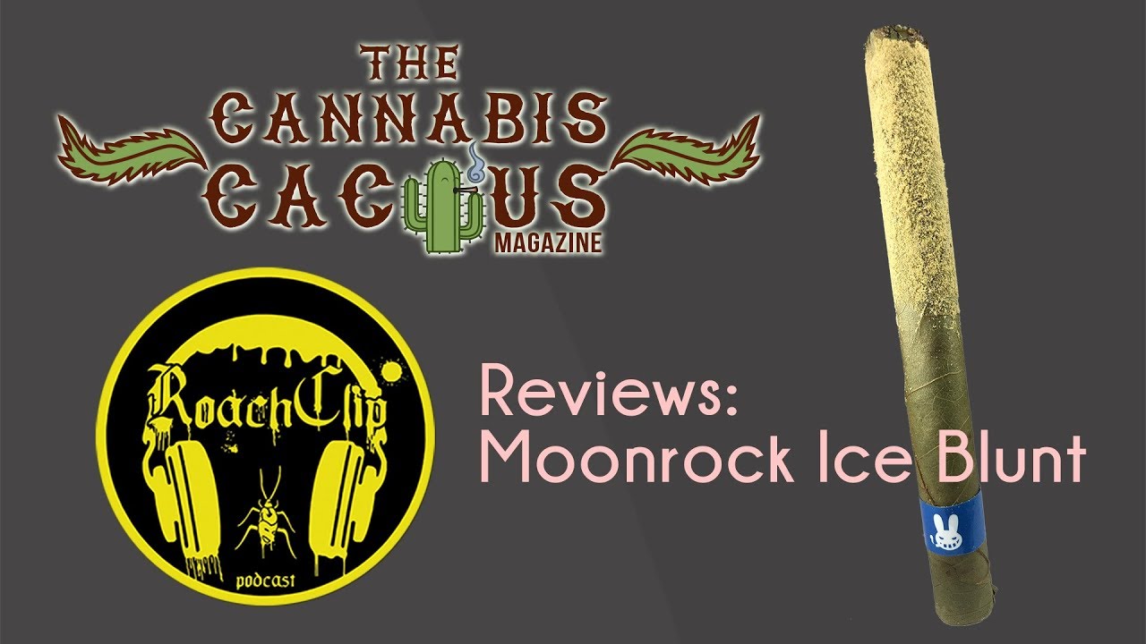 Cactus Reviews Ep 1: Dr. Zodiak's Moonrock Ice Blunt