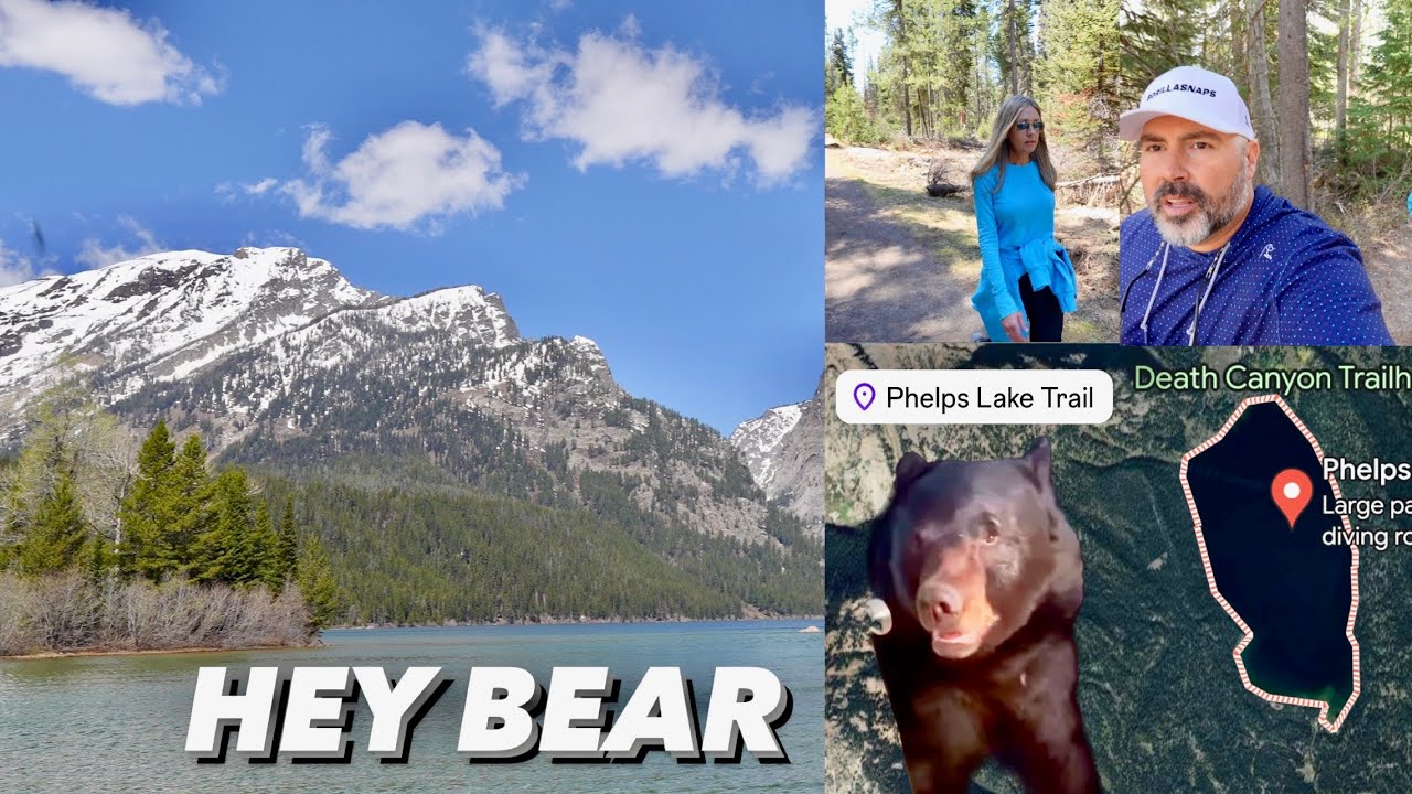 Unlocking The Tetons: - Phelps Lake Bears Can Open Doors!